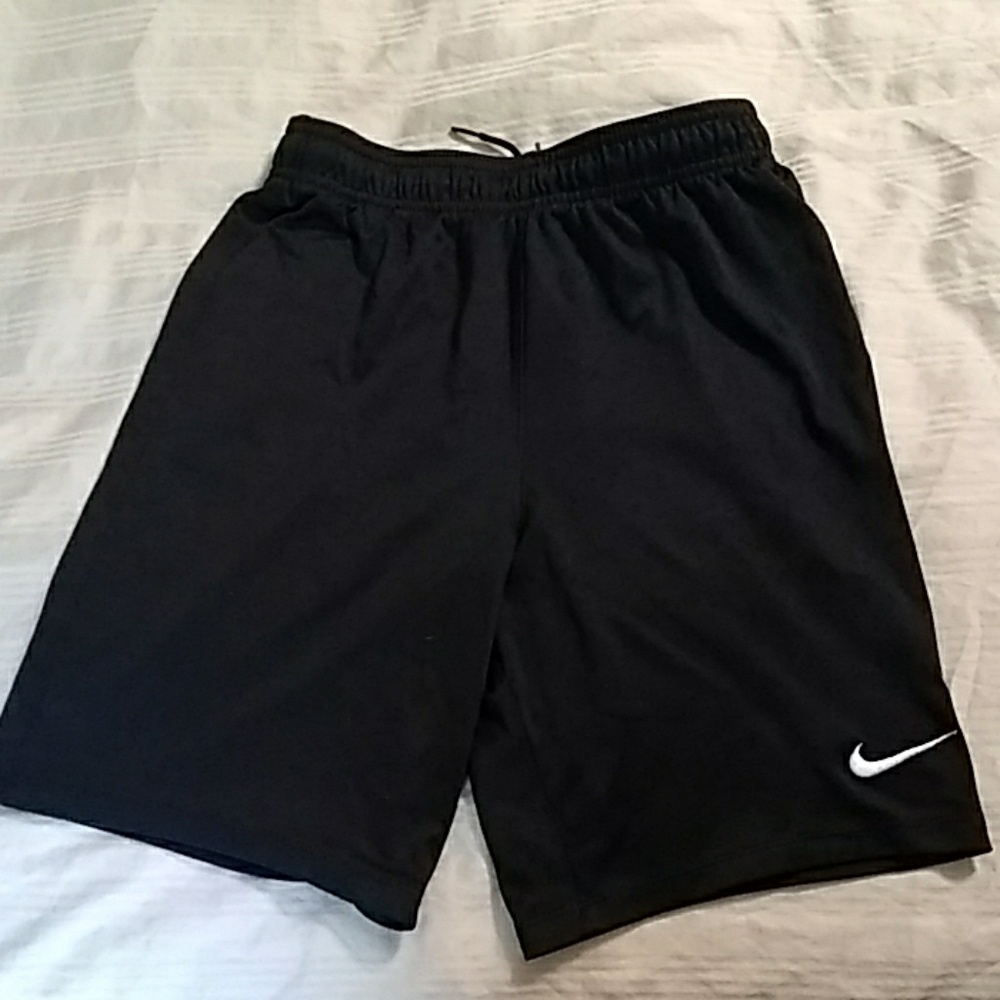 Nike Dri-Fit shorts L